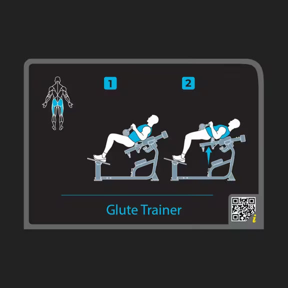 Hip Thrust Maschine - Vision Fitness Keystone