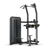 Klimmzug- und Dipmaschine - Vision Fitness Keystone