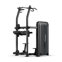 Klimmzug- und Dipmaschine - Vision Fitness Keystone schräg hinten