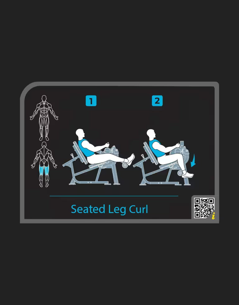 Leg Curl - Vision Fitness