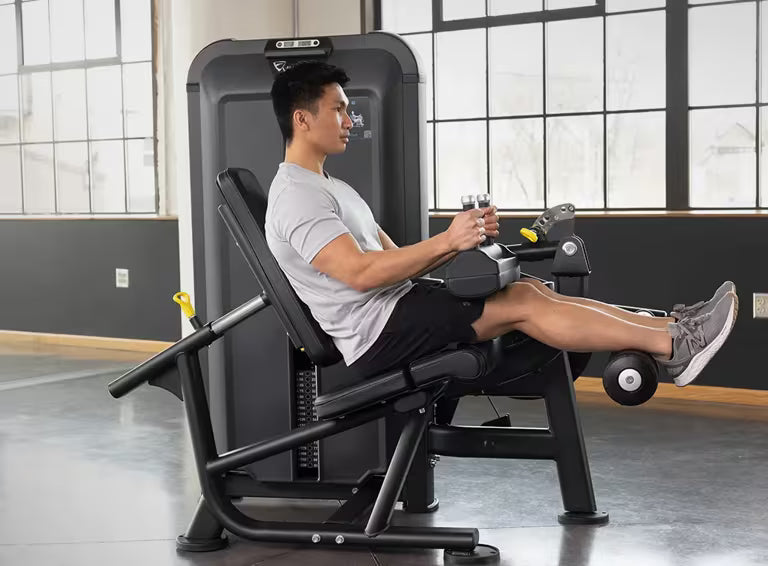 Leg Curl - Vision Fitness